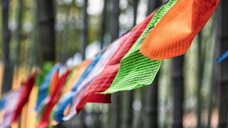 无颜之月在线观看樱花动漫 分类导航与内容分区:把本站当成一个目录来用